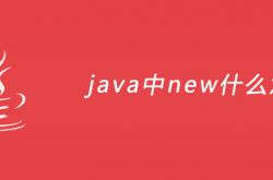 new在java中是什么意思