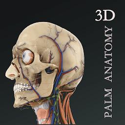 掌上3d解剖app下载v2.7.0 安卓版