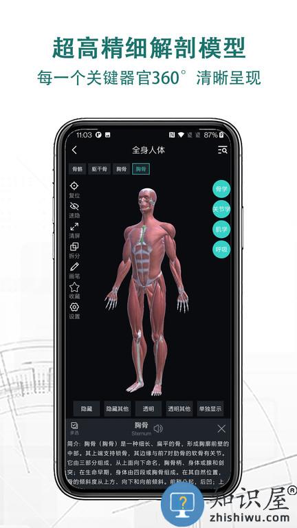 掌上3d解剖软件下载