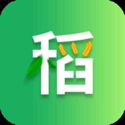  知稻 v1.0.25 安卓版