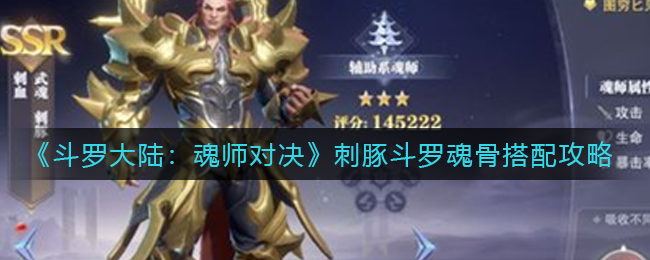 斗罗大陆魂师对决刺豚斗罗带什么魂骨好