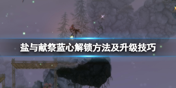 盐与献祭快速升级攻略