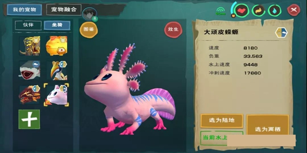 创造与魔法怎么抓大顽皮蝾螈