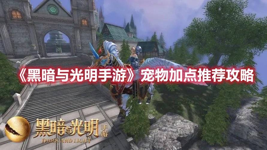 黑暗与光明宠物怎么加点好