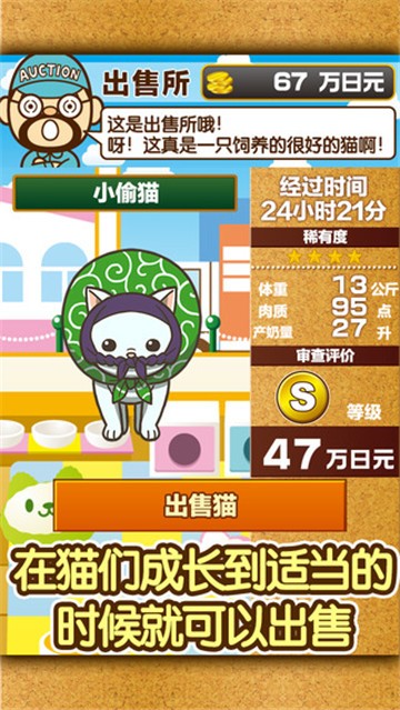 猫咖啡店
