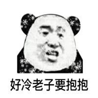 这天冷的把我的气质都冻没了表情包