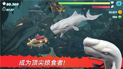 饥饿鲨进化国际版