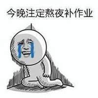 补作业表情包