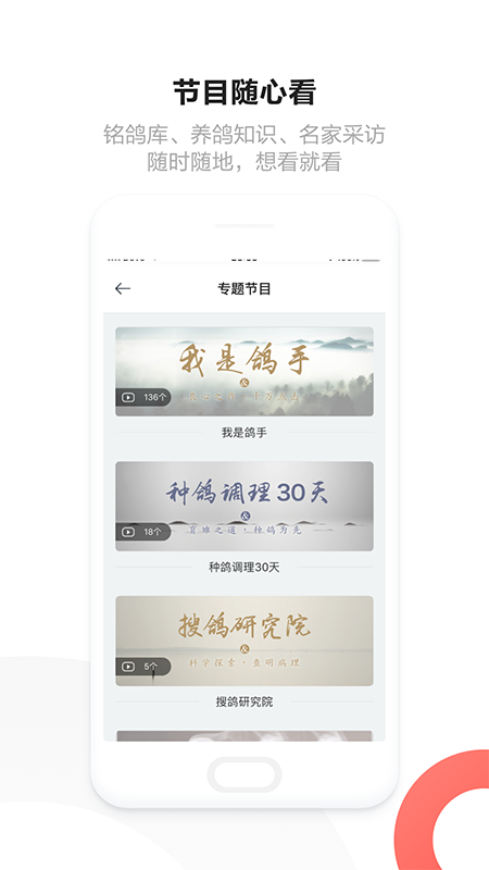 搜鸽网