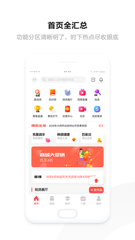 搜鸽网