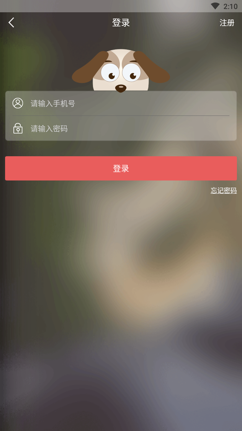 宠信小店