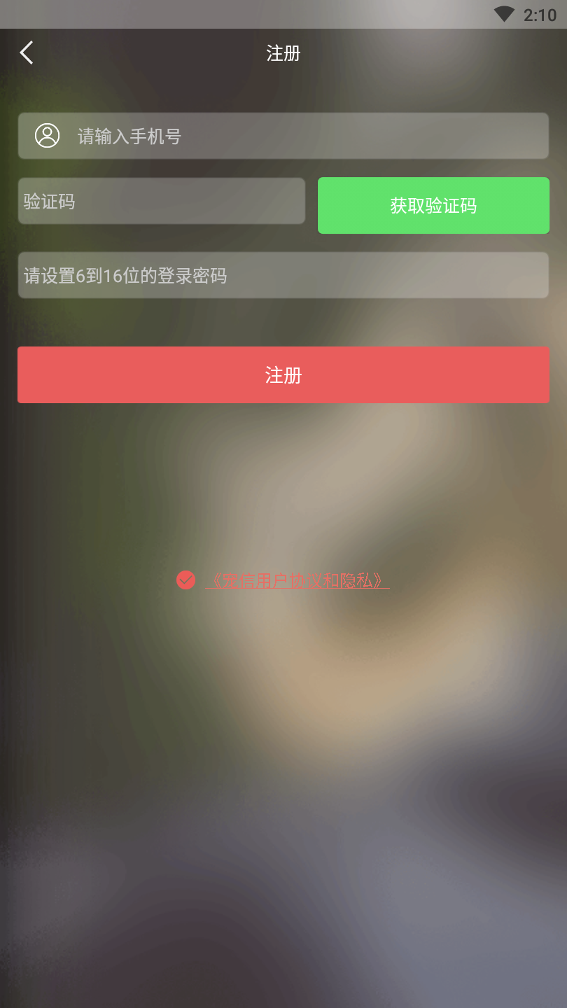 宠信小店