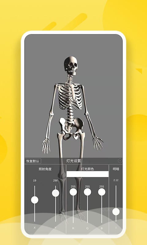 3Dbody艺用