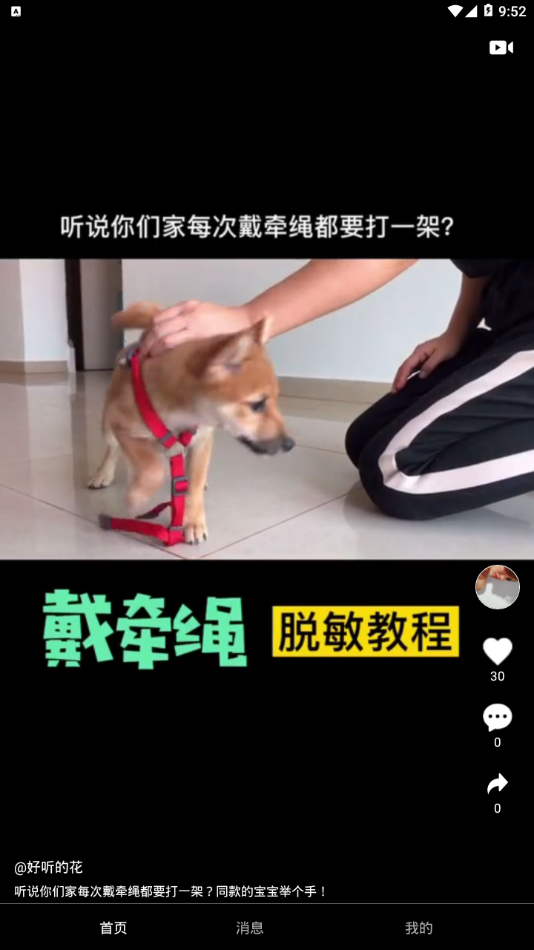小主