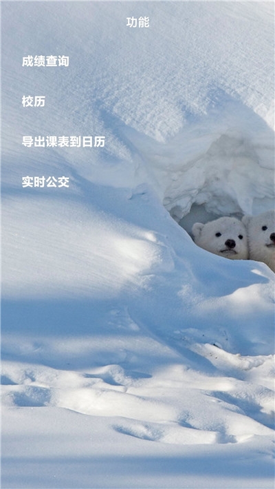 辽大+