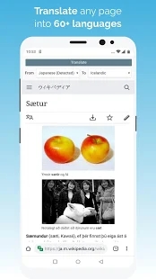 kiwi浏览器中文