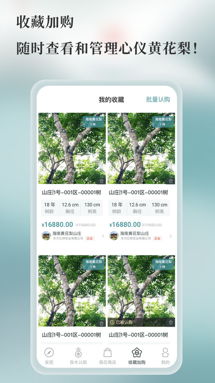 良木森林app下载v3.1.020240229_20231221 安卓版