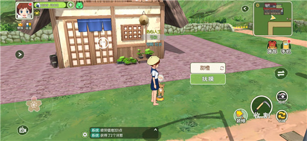 小森生活怎么撸猫 小森生活撸猫方法