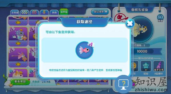 萌鱼泡泡游戏攻略大全
