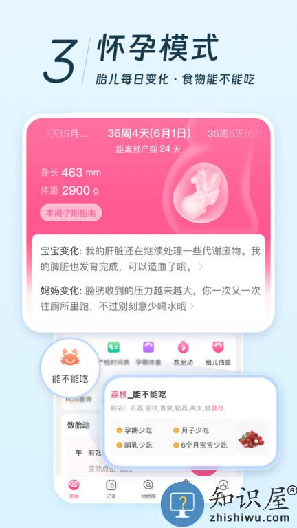 共享姨妈巾app