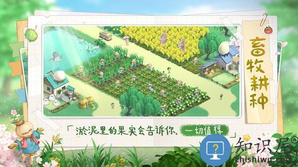 向往的生活手游下载v1.8.5.916 安卓版
