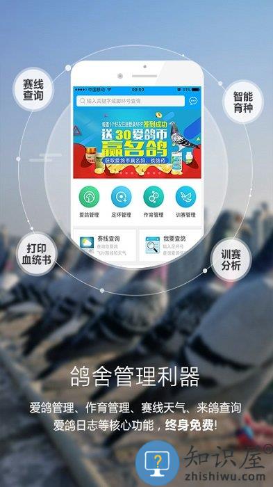 爱鸽者下载