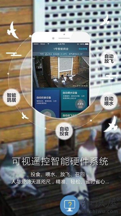 爱鸽者手机版下载v3.1.3 安卓版