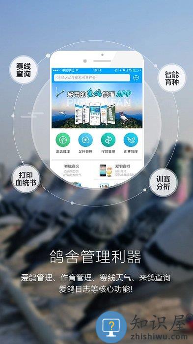 爱鸽者手机版下载v3.1.3 安卓版