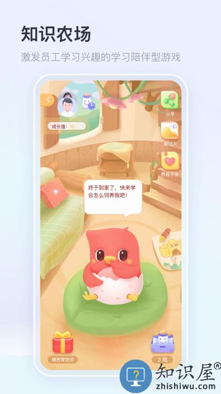 中国平安知鸟手机版下载v9.1.8 安卓官方版