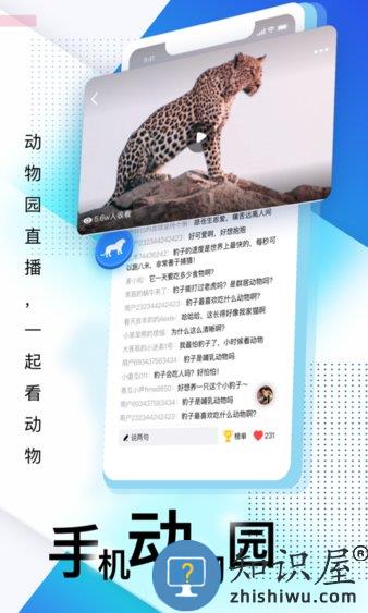 壹深圳安卓版下载