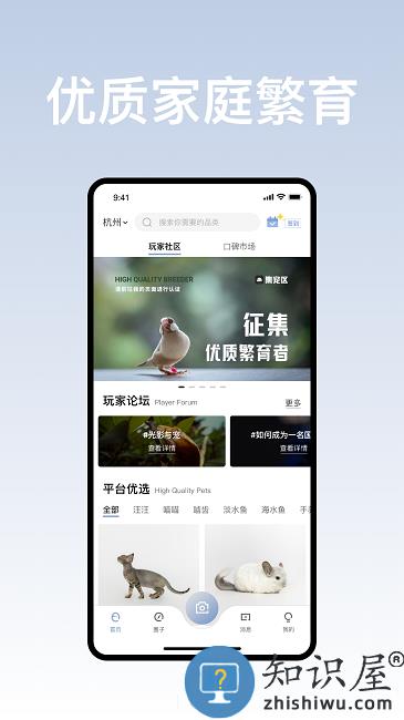 集宠区app下载v2.20.0 安卓最新版本