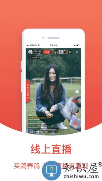搜鸽天下一查信鸽成绩免费软件 v2.2.1.11 安卓最新版