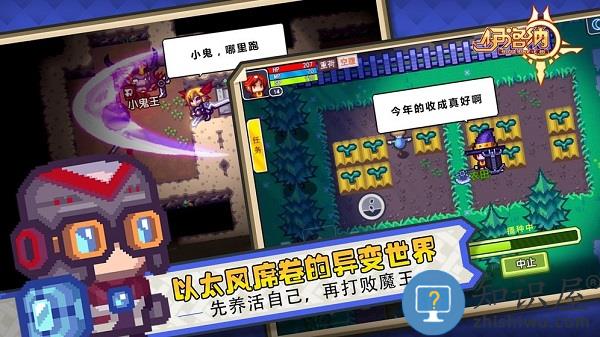 伊洛纳官方版 v1.1.17 安卓版