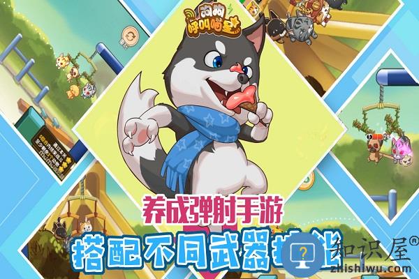 狗狗呼叫喵星九游版下载v3.0.2 安卓版