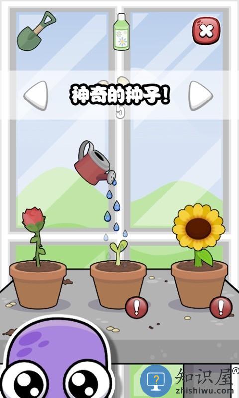 迷你生活虚拟宠物官方版下载v1.3 安卓版