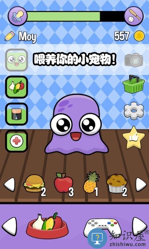 迷你生活虚拟宠物官方版下载v1.3 安卓版