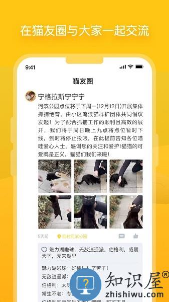 哈啰街猫软件 v1.22.0 安卓版