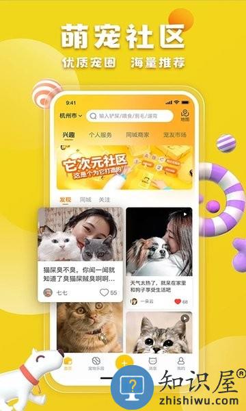 宠胖胖最新版 v5.0.8 安卓版