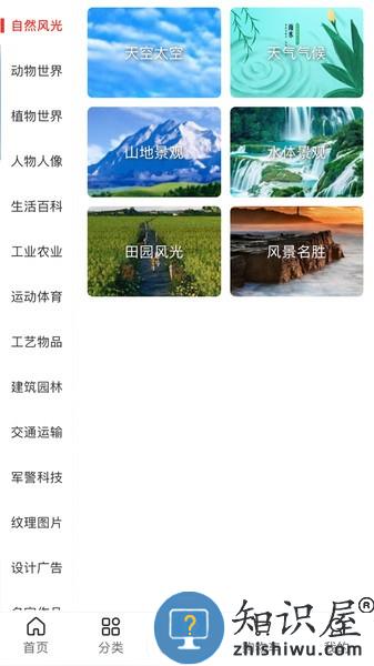 图王网app v1.1.24 安卓版