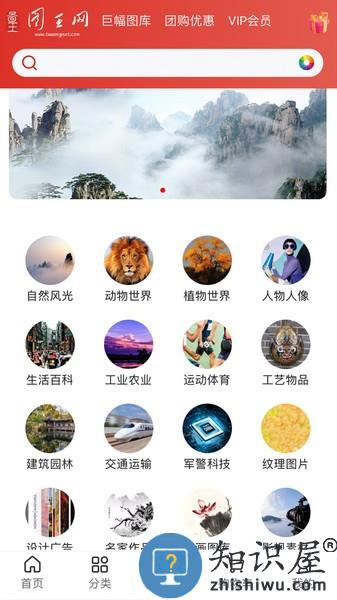 图王网app v1.1.24 安卓版