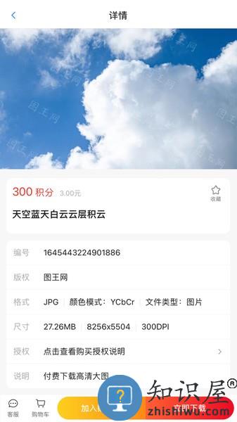 图王网app v1.1.24 安卓版