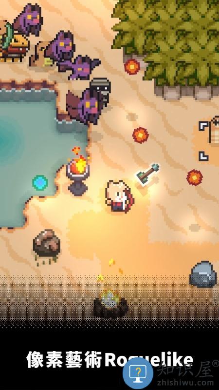回家的猫游戏下载v1.0.8 安卓版