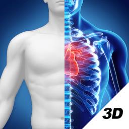 3D人体解剖图谱手机软件 v2.0.7 安卓版