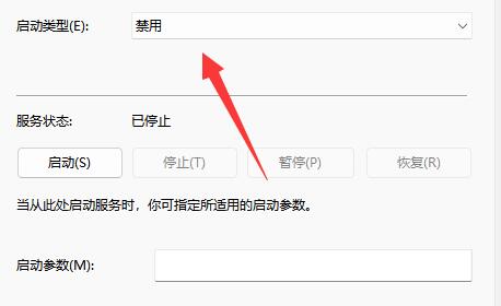 win11更新怎么永久关闭？win11更新永久关闭的方法