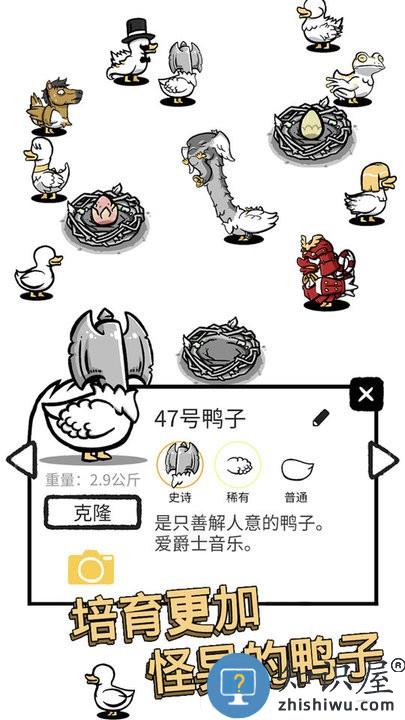 奇怪的鸭子2最新版下载v1.0 安卓版
