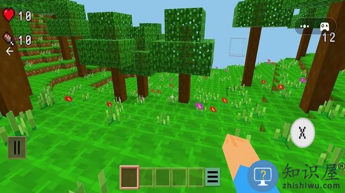 沙盒世界幻想游戏下载v1.0 安卓版