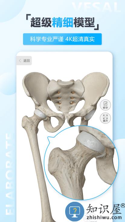 维萨里3d解剖app下载v6.2.0 安卓最新免费版