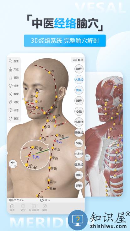 维萨里3d解剖app下载v6.2.0 安卓最新免费版