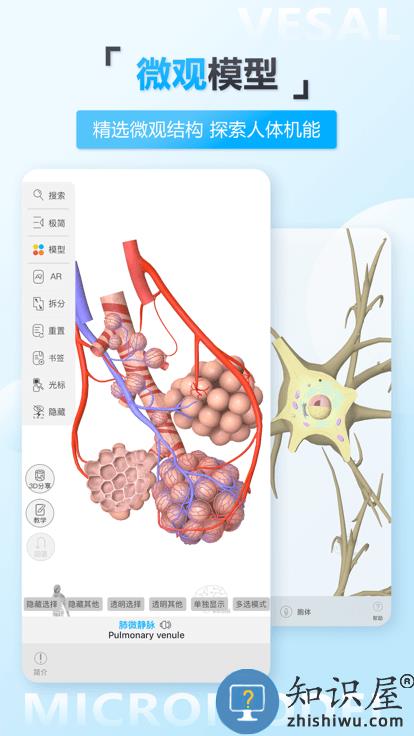 维萨里3d解剖app下载v6.2.0 安卓最新免费版