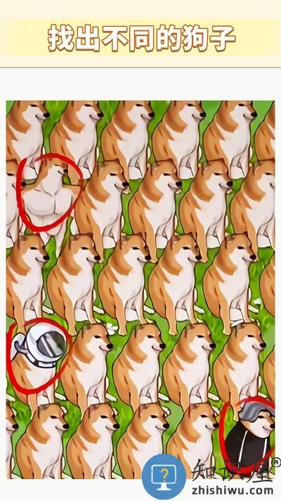 一起找不同吧游戏下载v1.0 安卓版